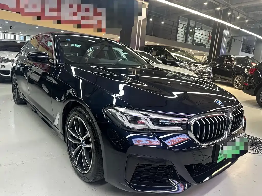 BMW 5 Series New Energy — фото 10