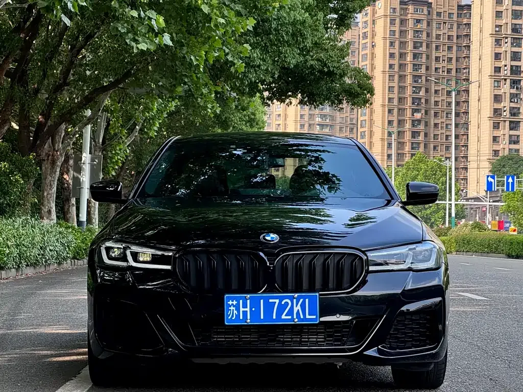 BMW 5 Series 2022 из CN, фото 8