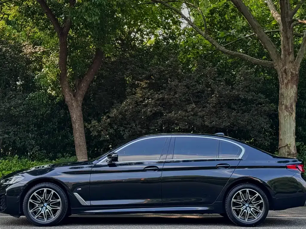BMW 5 Series 2022 из CN, фото 5