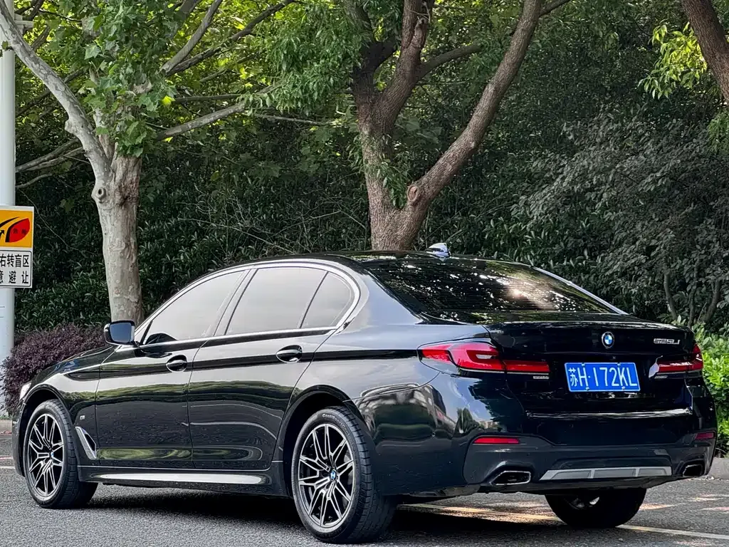 BMW 5 Series 2022 из CN, фото 7
