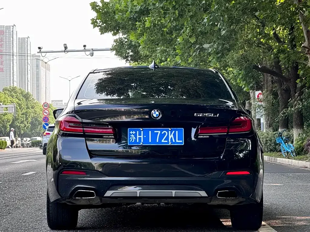 BMW 5 Series 2022 из CN, фото 4