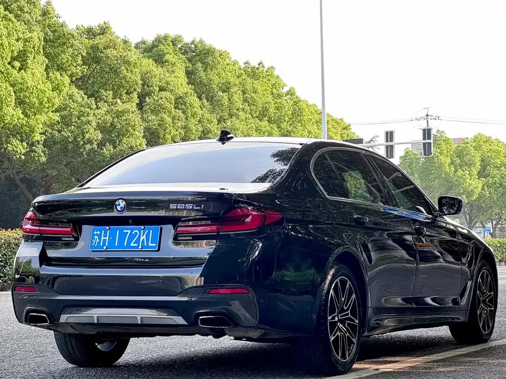 BMW 5 Series 2022 из CN, фото 9