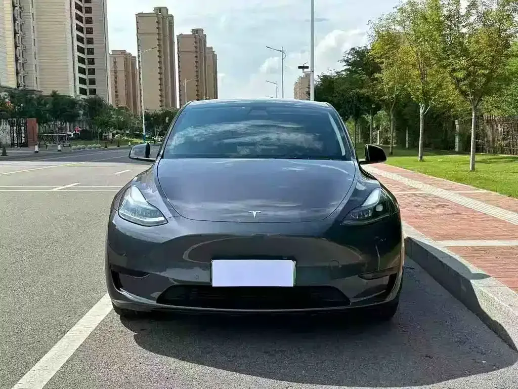 Tesla Model Y — фото 8