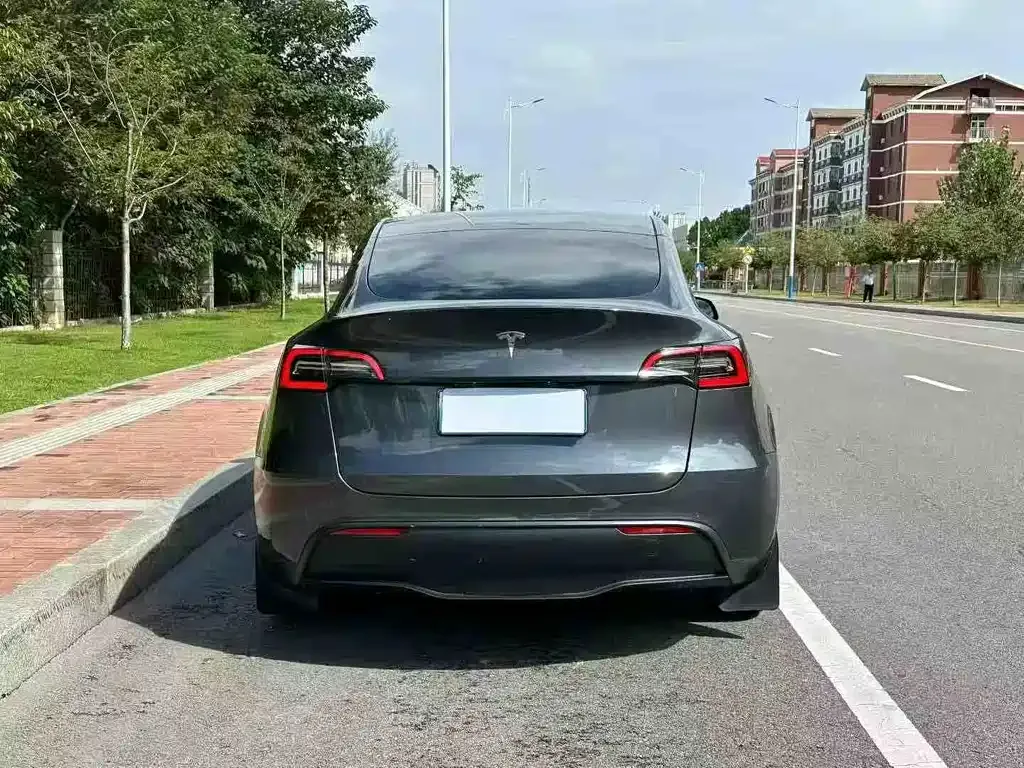 Tesla Model Y — фото 9