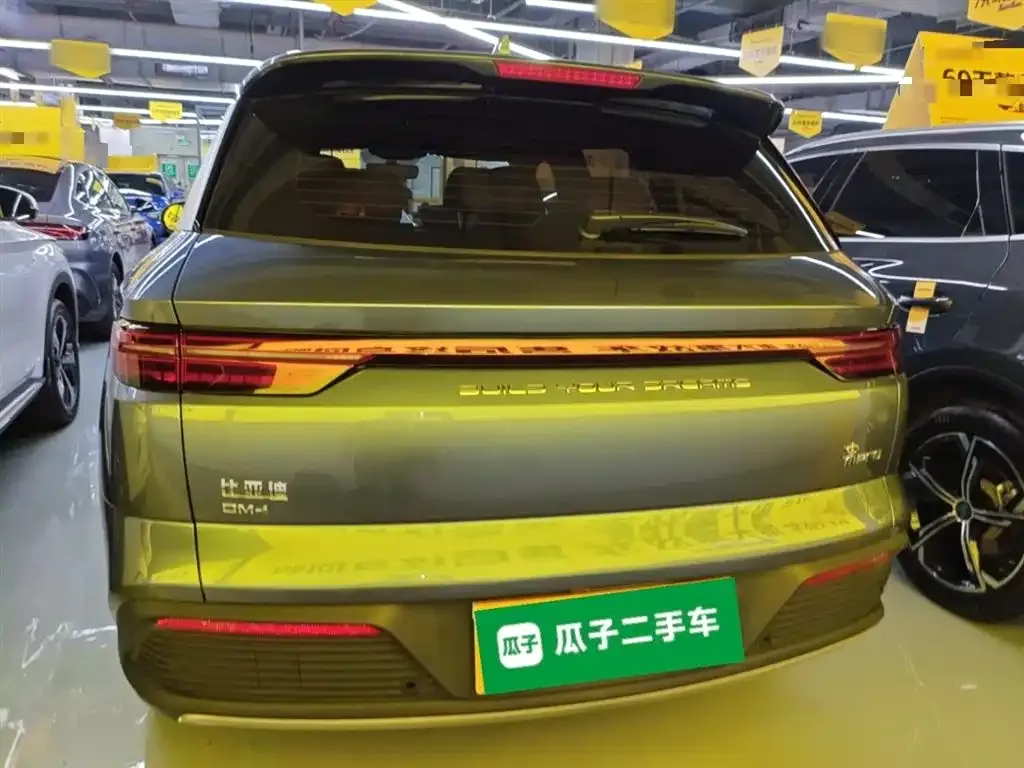 BYD Pro New Energy — фото 3