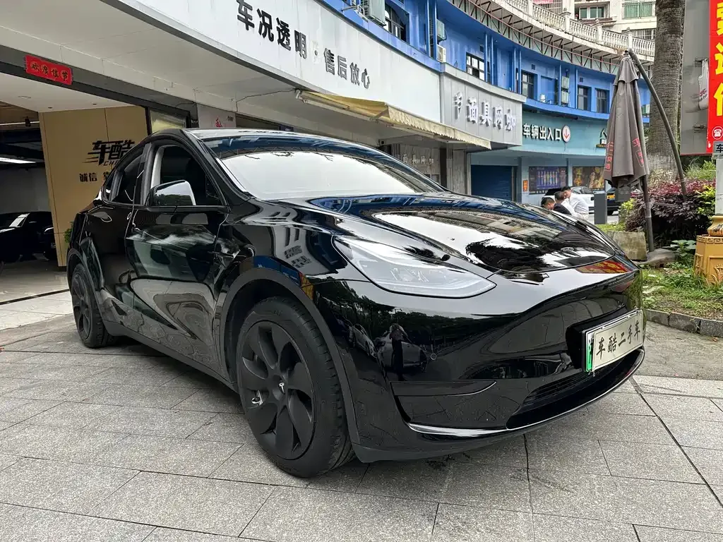 Tesla Model Y — фото 9