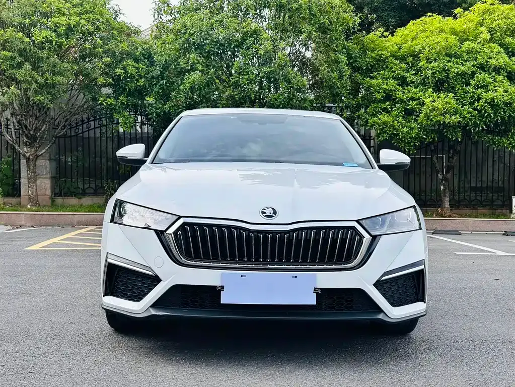 Skoda Octavia 2023 из CN, фото 7