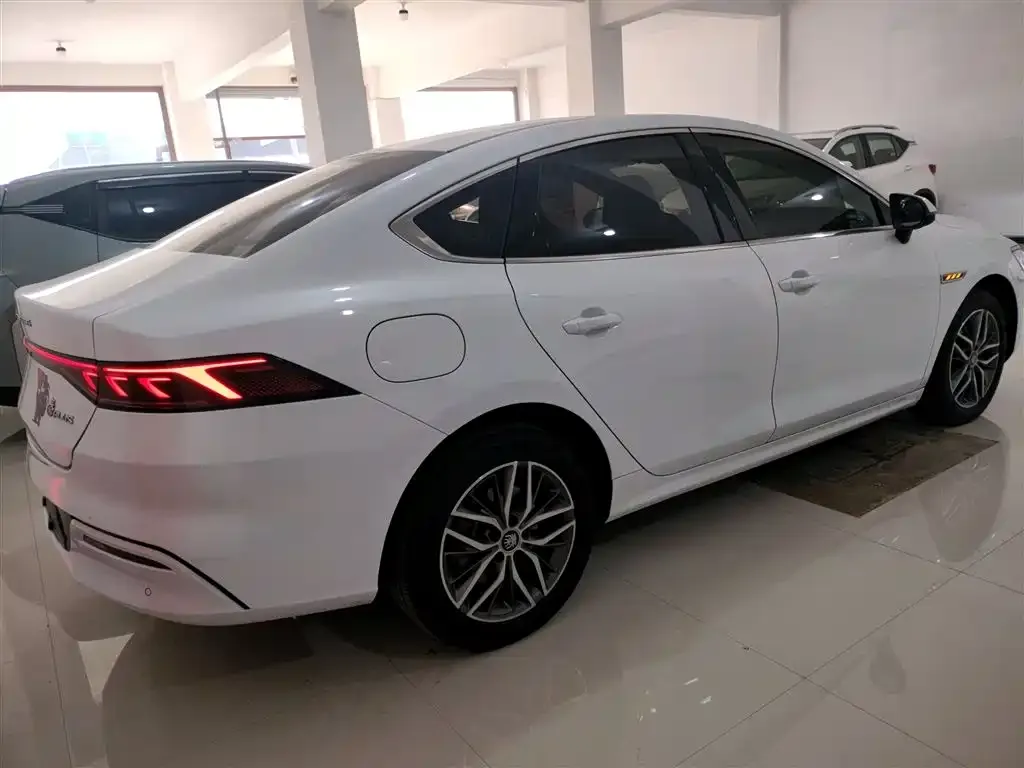 BYD Qin PLUS 2024 из CN, фото 2