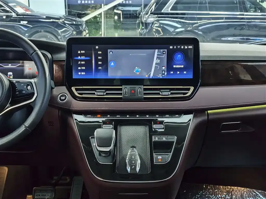 Hongqi HQ9 2023 из CN, фото 7