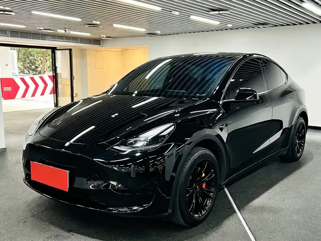 Tesla Model Y — фото 1