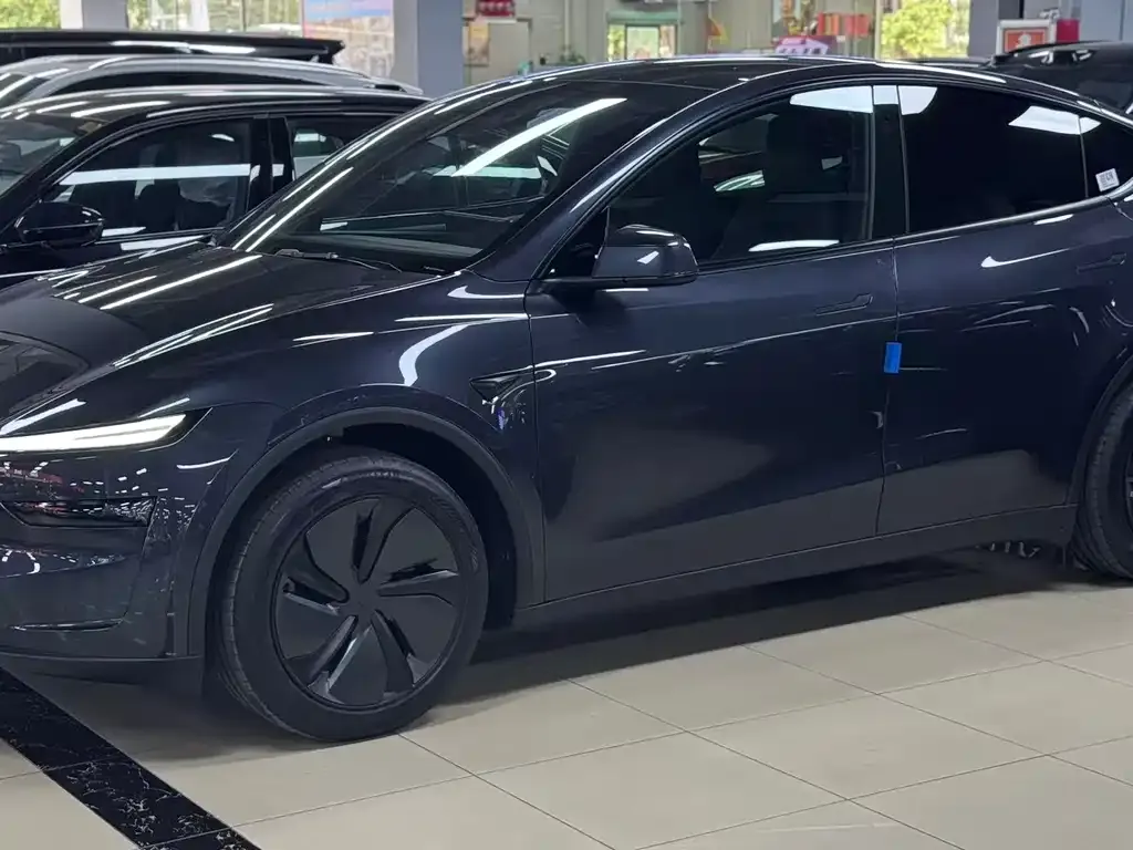 Tesla Model Y — фото 6