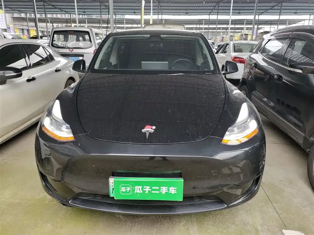 Tesla Model Y — фото 10