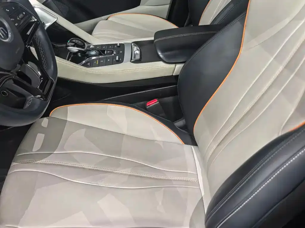 BYD PLUS New Energy 2023 из CN, фото 3