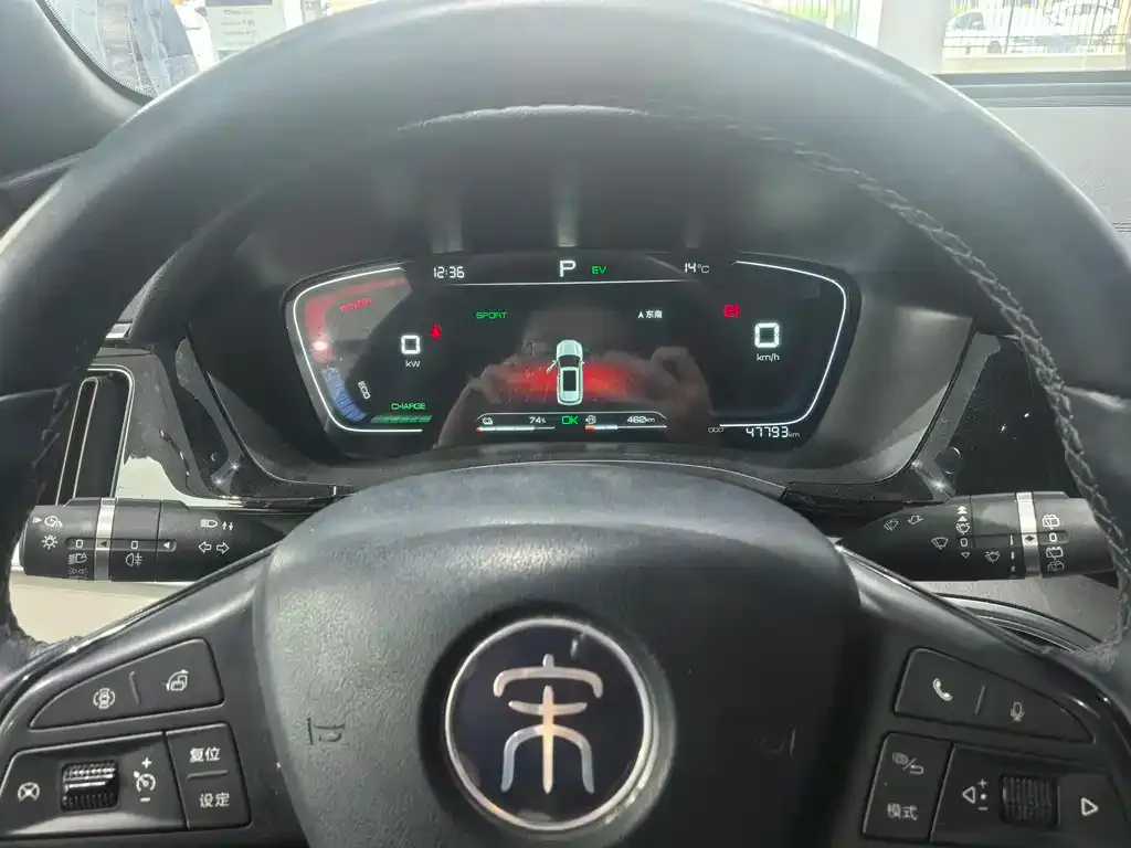 BYD PLUS New Energy 2023 из CN, фото 6