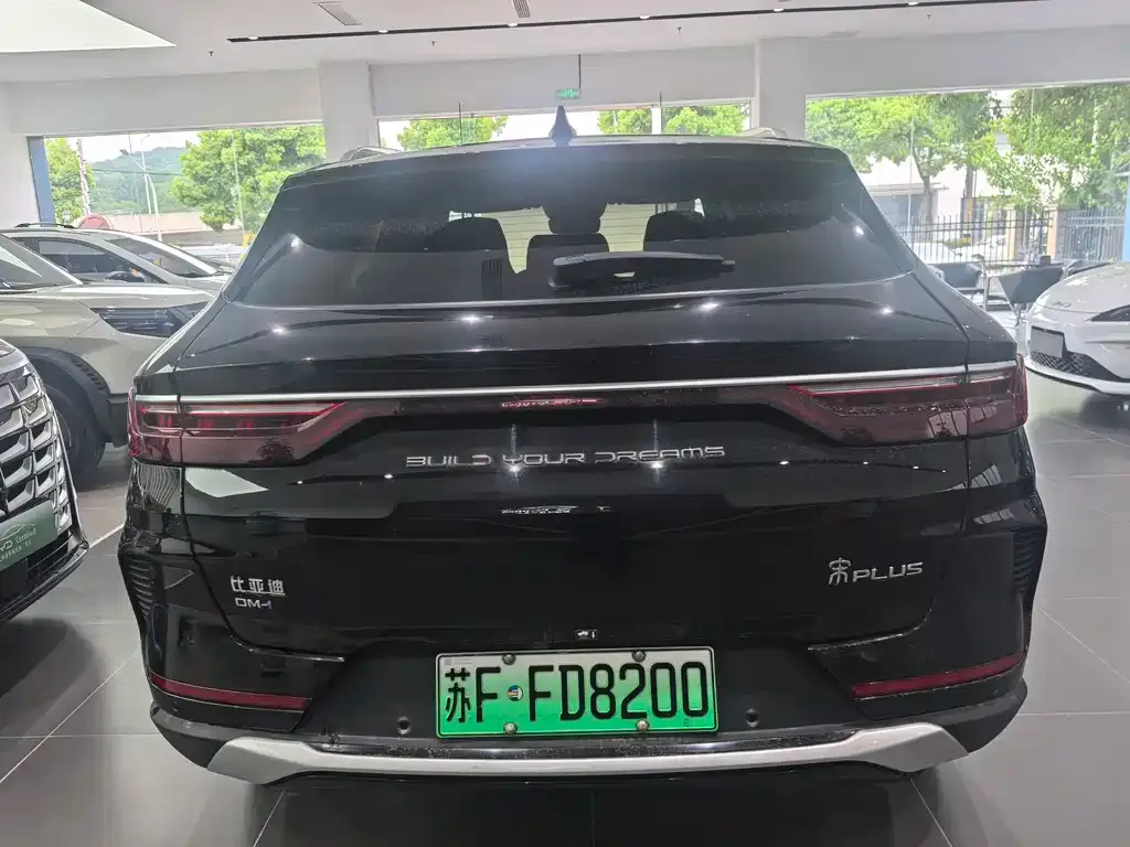 BYD PLUS New Energy 2023 из CN, фото 5