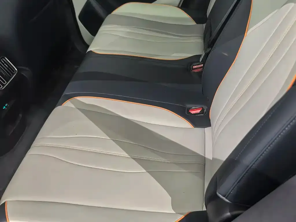 BYD PLUS New Energy 2023 из CN, фото 2
