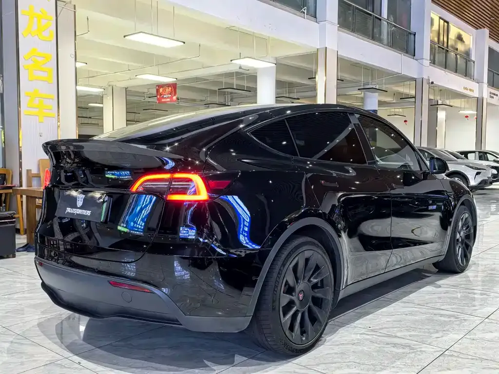 Tesla Model Y — фото 3