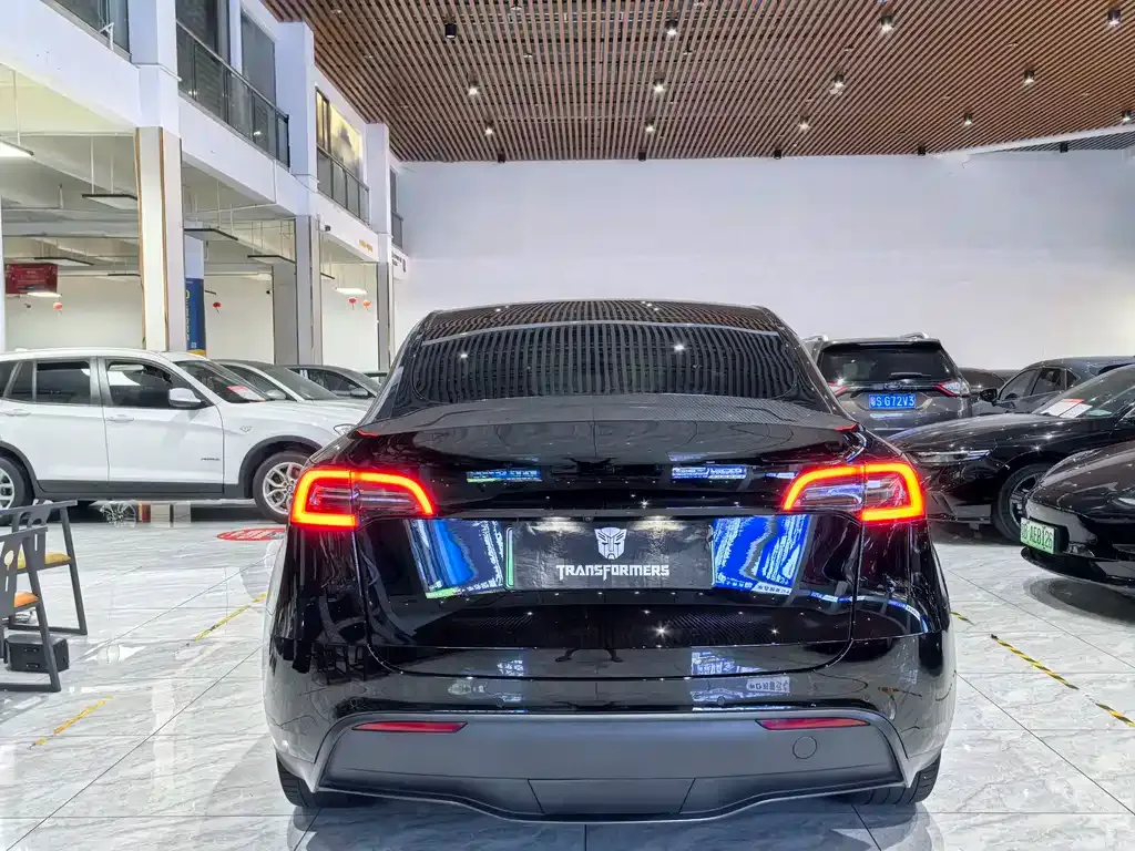 Tesla Model Y — фото 9