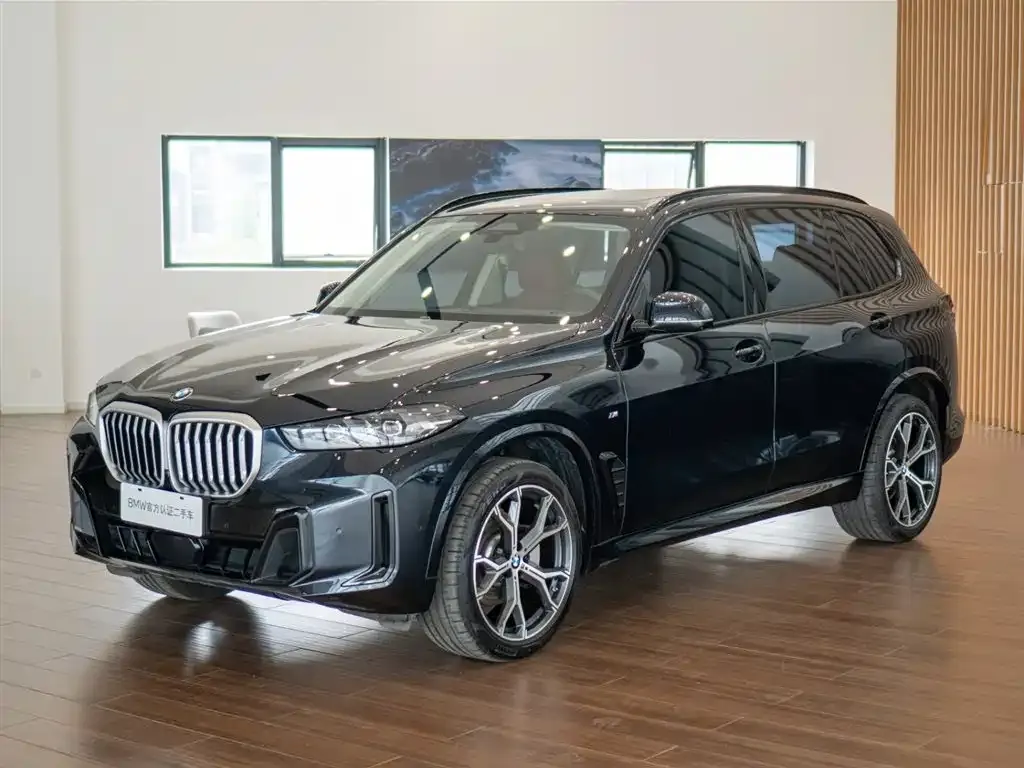 BMW X5 — фото 9