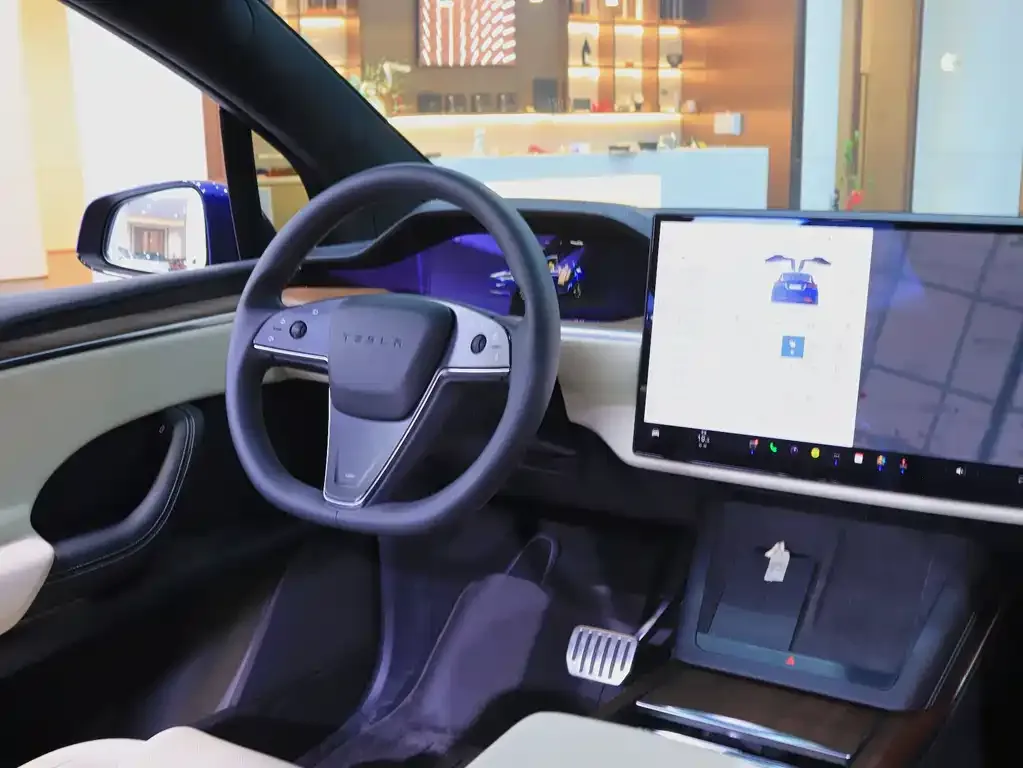 Tesla Model X 2023 из CN, фото 2