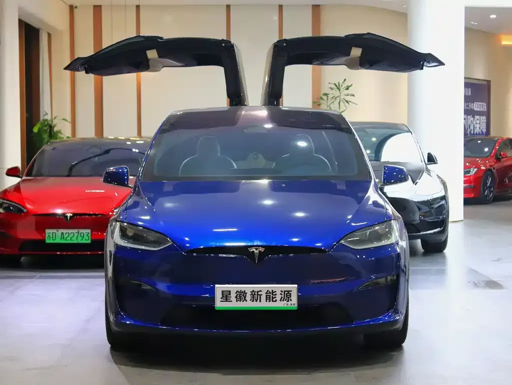 Tesla Model X 2023 из CN, фото 5