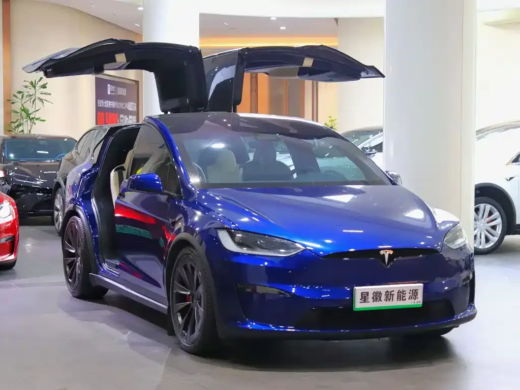 Tesla Model X 2023 из CN, фото 10