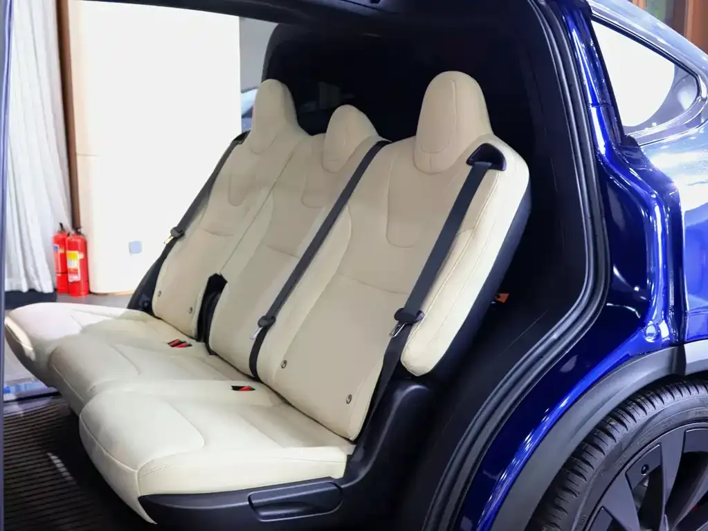 Tesla Model X 2023 из CN, фото 9