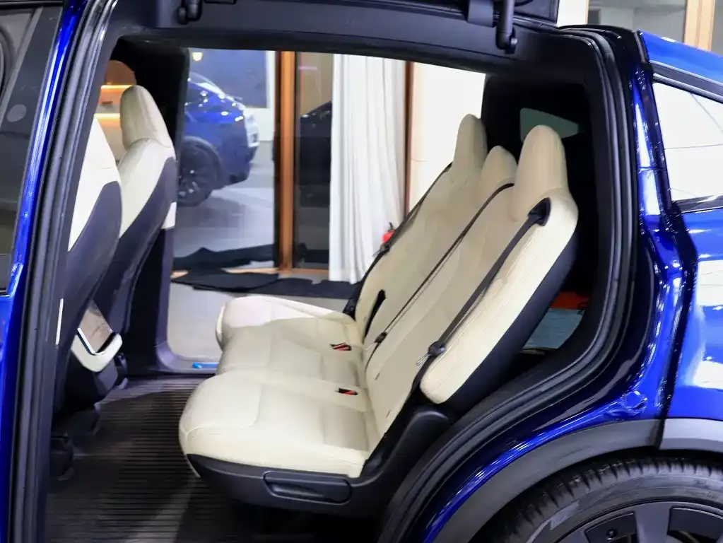 Tesla Model X 2023 из CN, фото 7