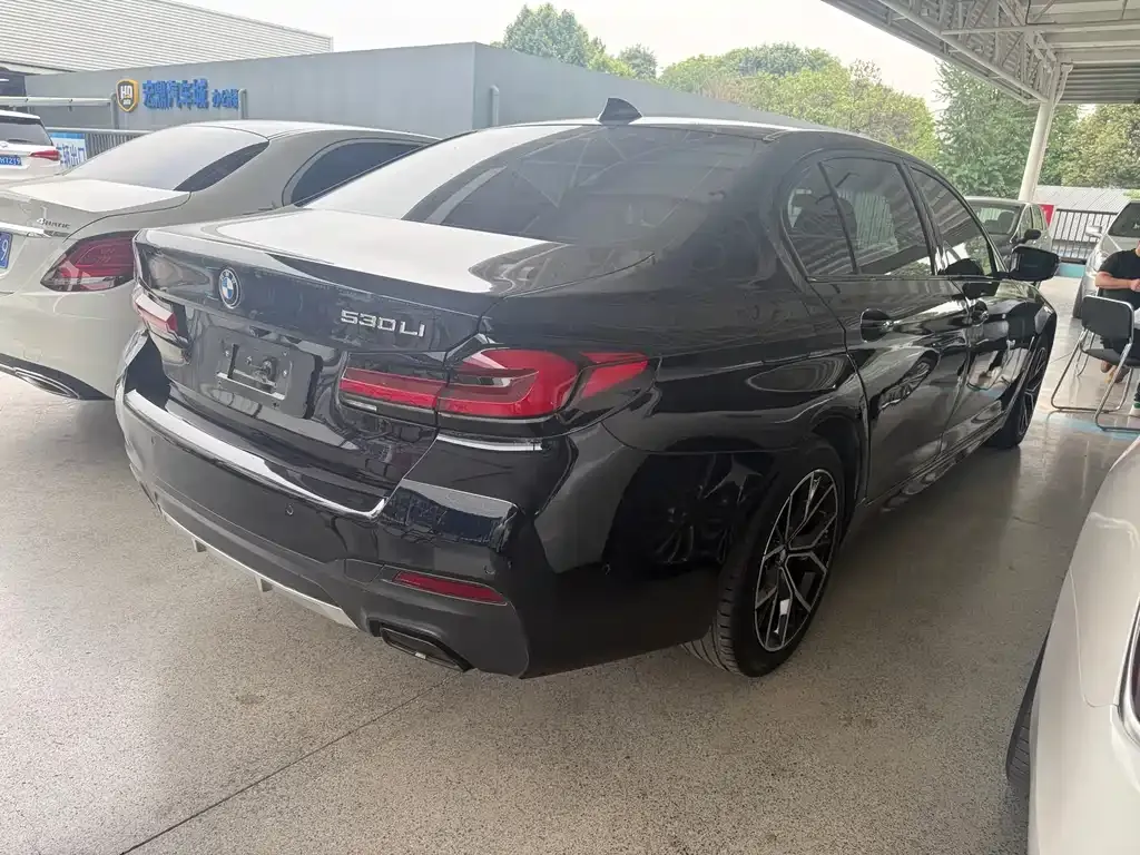 BMW 5 Series 2021 из CN, фото 9