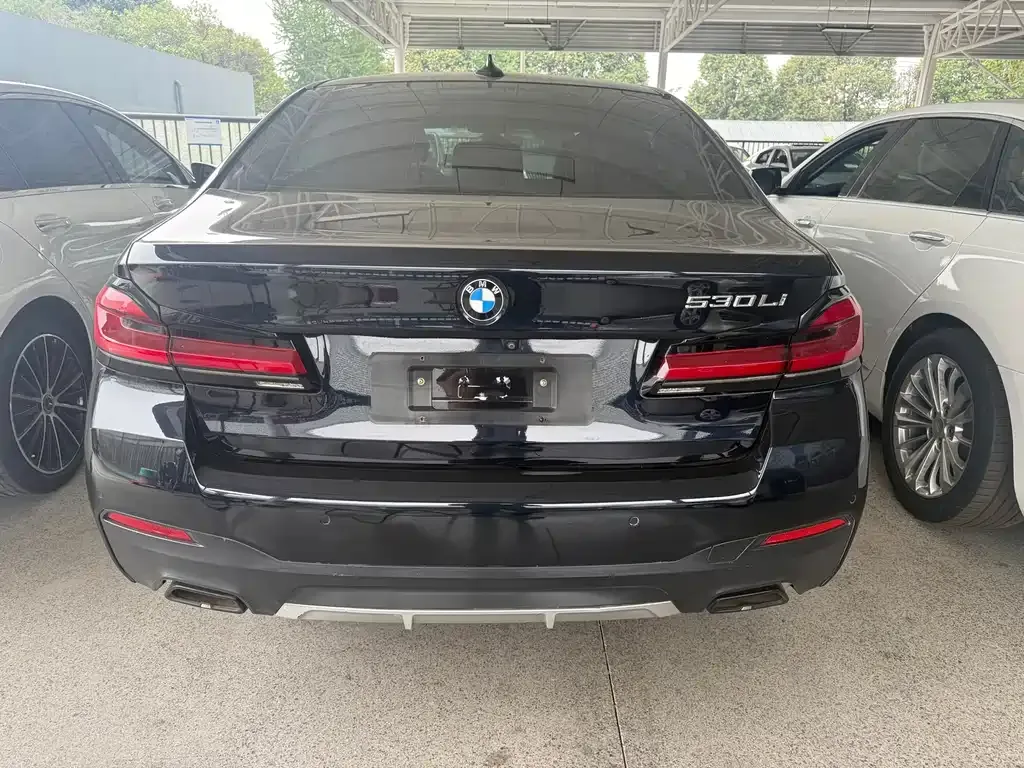 BMW 5 Series 2021 из CN, фото 5