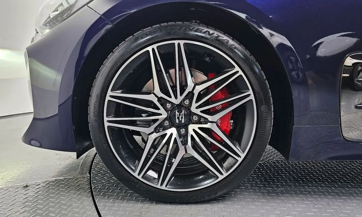 Kia Stinger 2021 из KR, фото 8