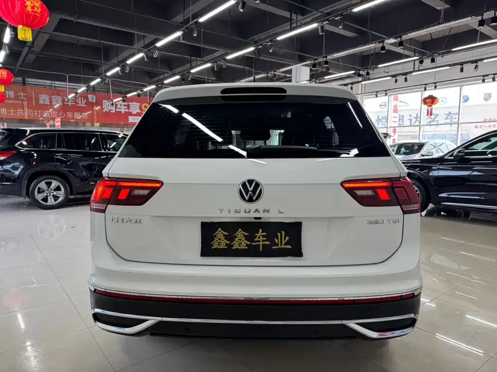 Volkswagen Tiguan L 2022 из CN, фото 10