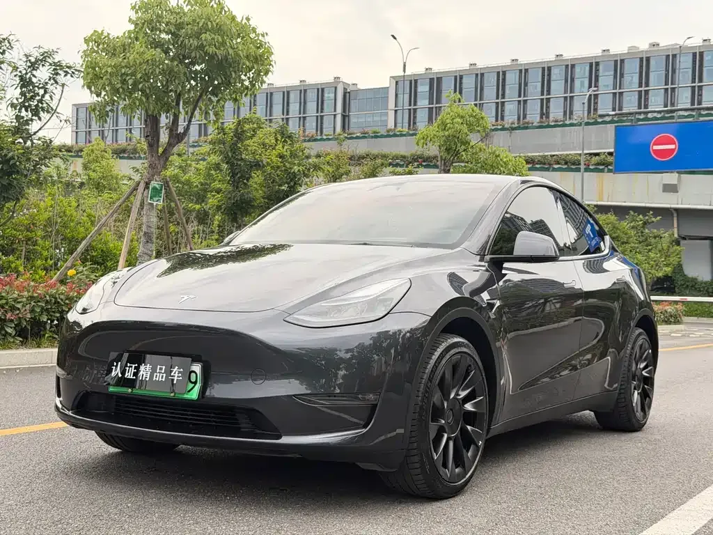 Tesla Model Y — фото 1