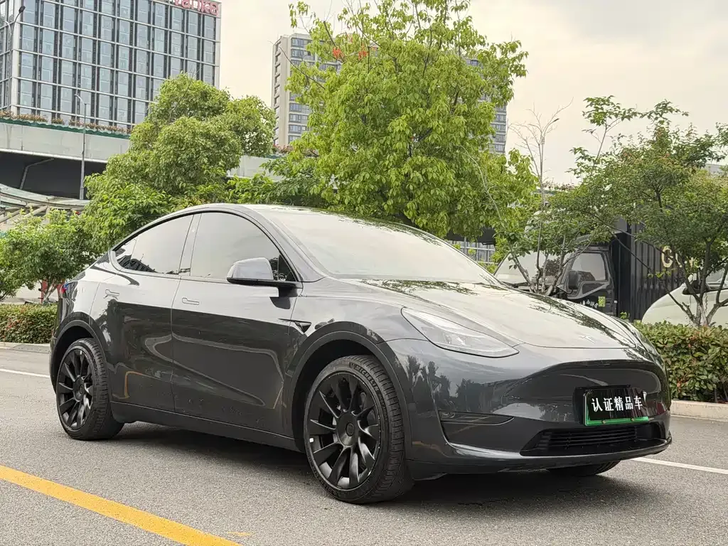 Tesla Model Y — фото 8