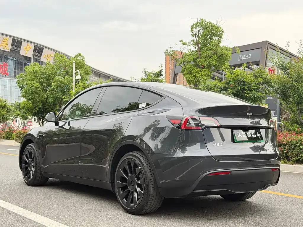 Tesla Model Y — фото 6