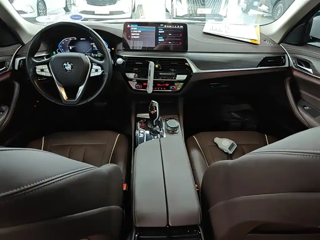 BMW 5 Series New Energy 2021 из CN, фото 9