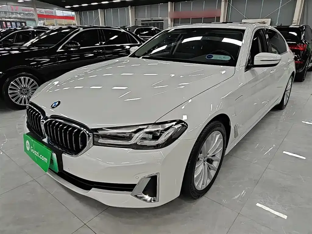 BMW 5 Series New Energy 2021 из CN, фото 4