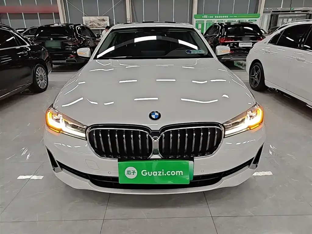 BMW 5 Series New Energy 2021 из CN, фото 10
