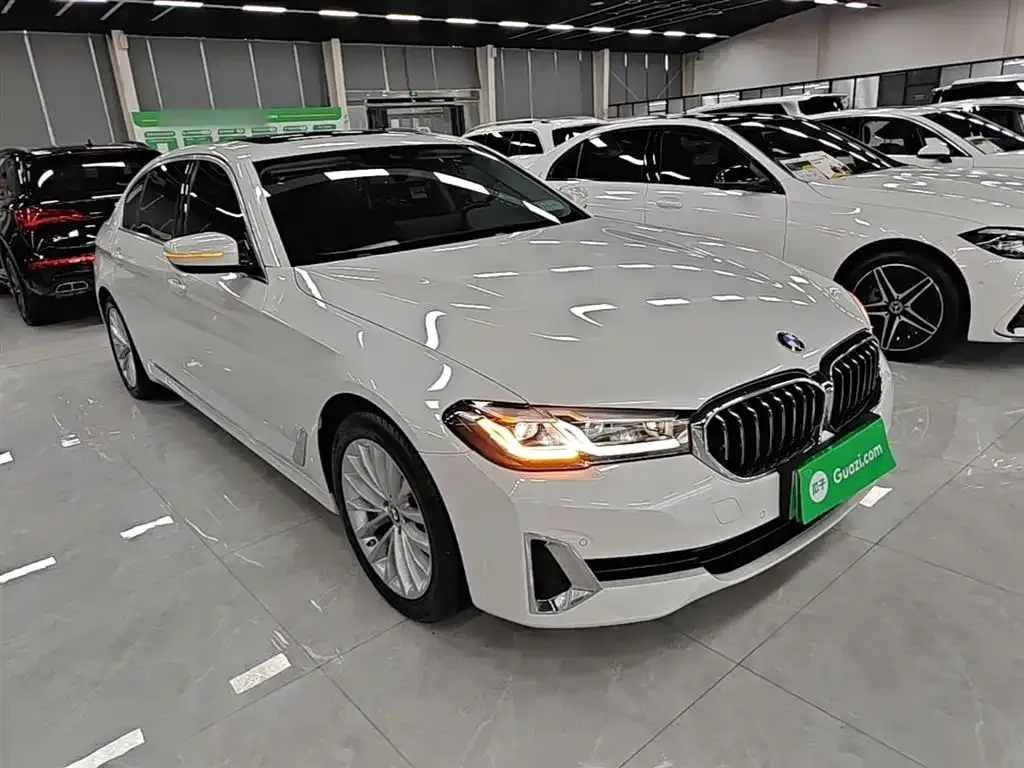BMW 5 Series New Energy 2021 из CN, фото 8
