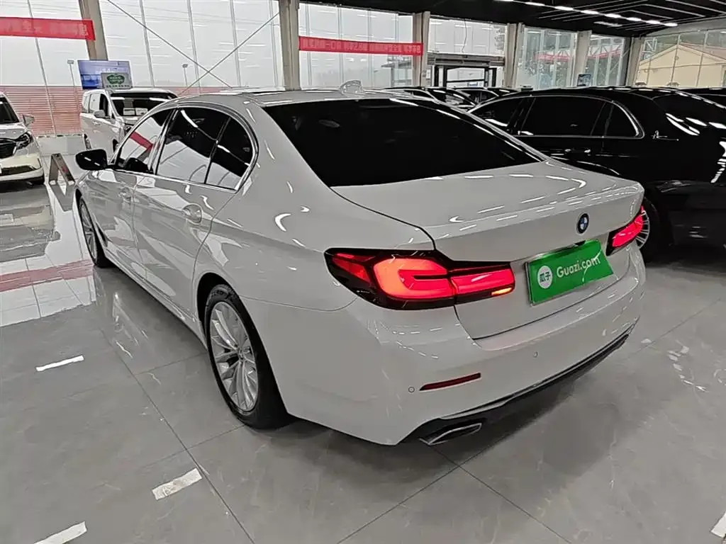 BMW 5 Series New Energy 2021 из CN, фото 6