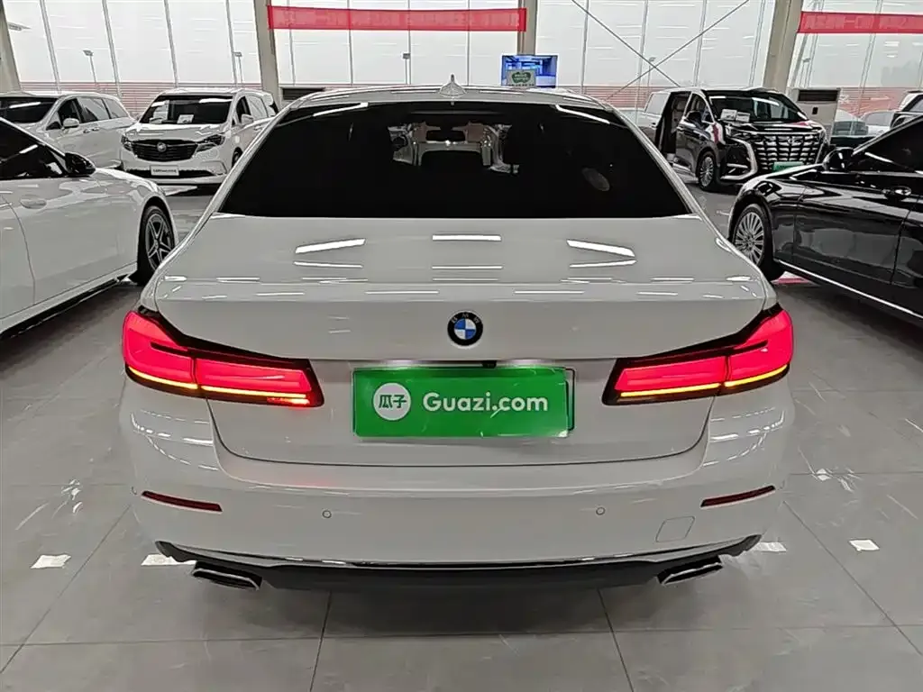 BMW 5 Series New Energy 2021 из CN, фото 7