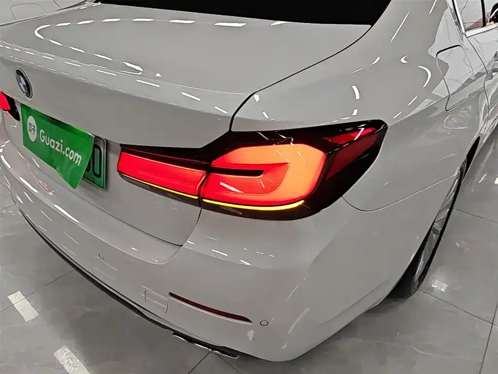 BMW 5 Series New Energy 2021 из CN, фото 5