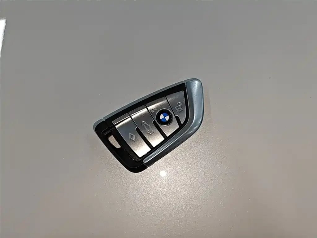 BMW 5 Series New Energy 2021 из CN, фото 2