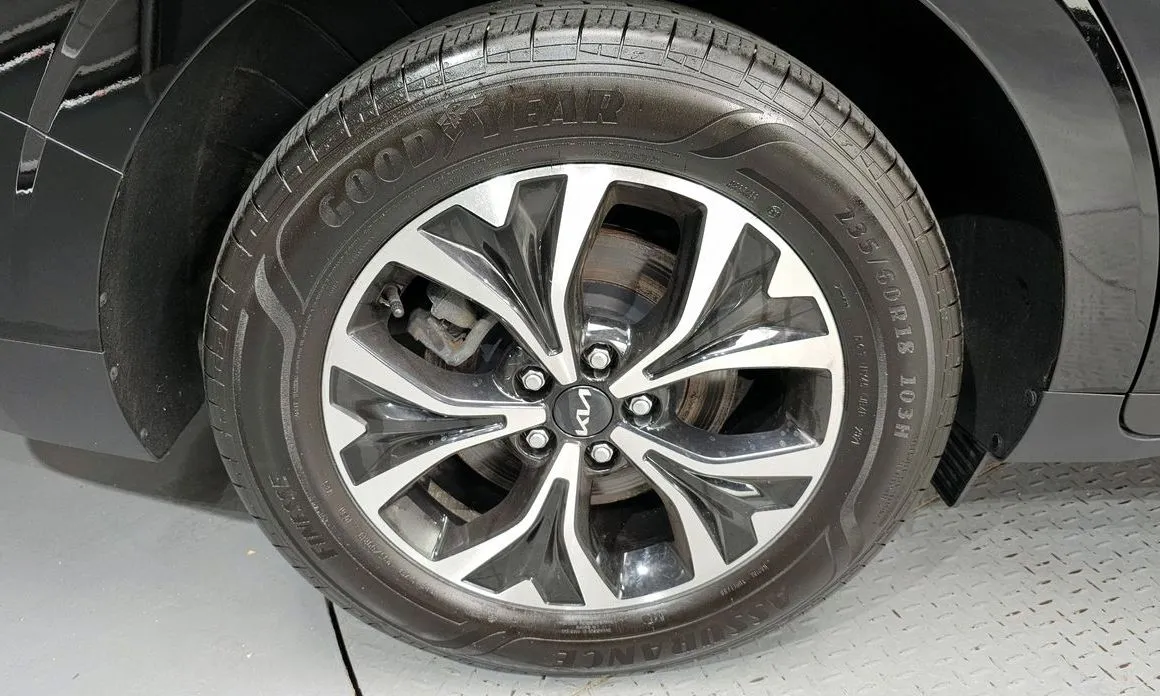 Kia Carnival — фото 10