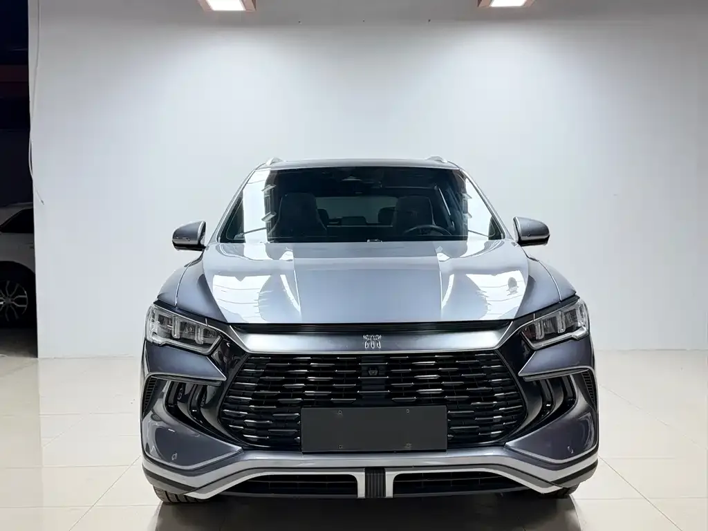 BYD Pro New Energy — фото 3