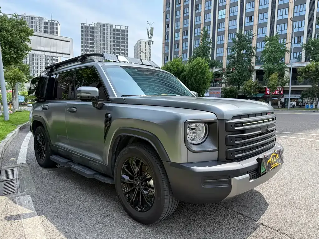 Haval Menglong New Energy — фото 10