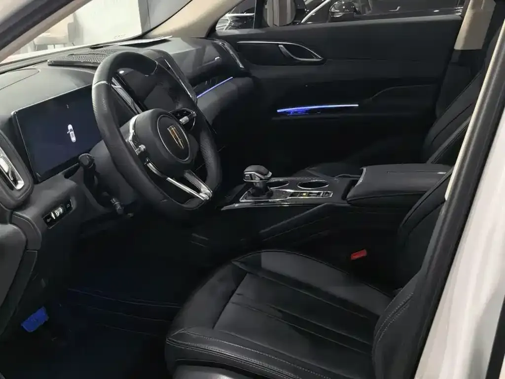 Hongqi HS3 2024 из CN, фото 6