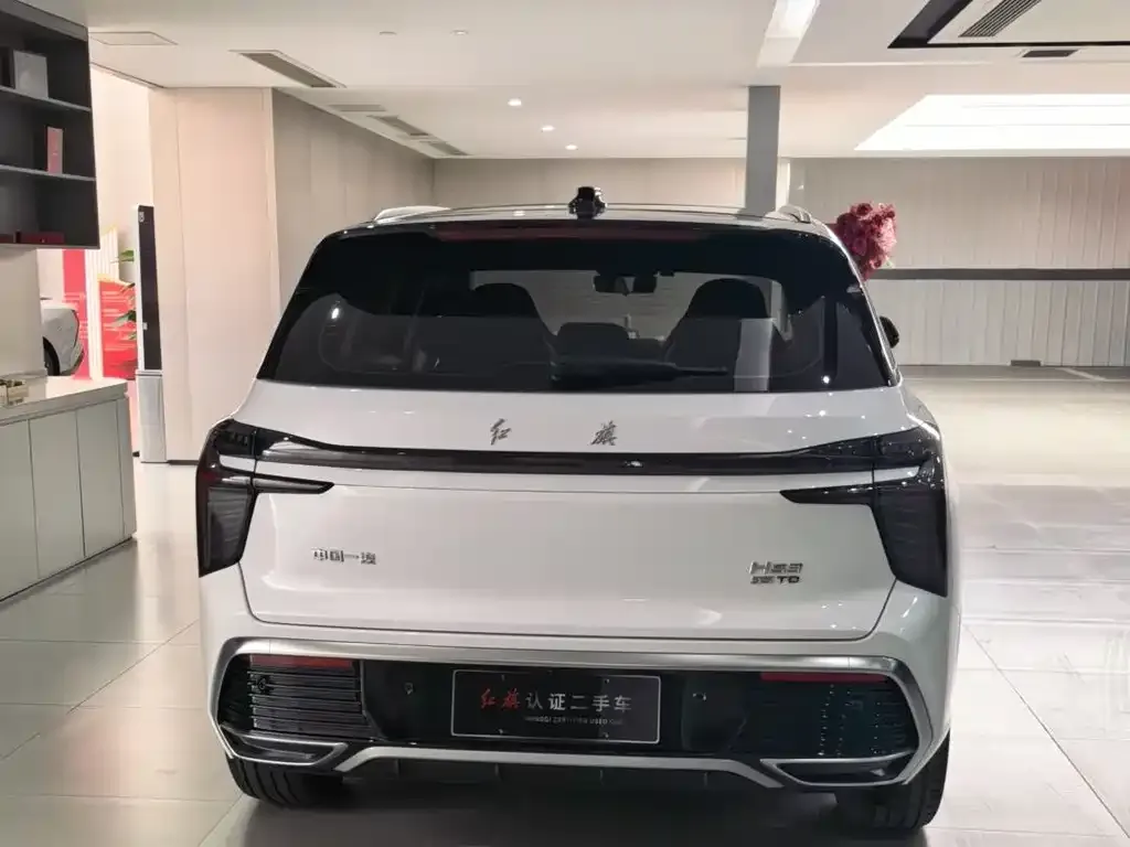 Hongqi HS3 2024 из CN, фото 5