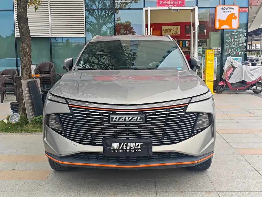 Haval Shenshou 2023 из CN, фото 8
