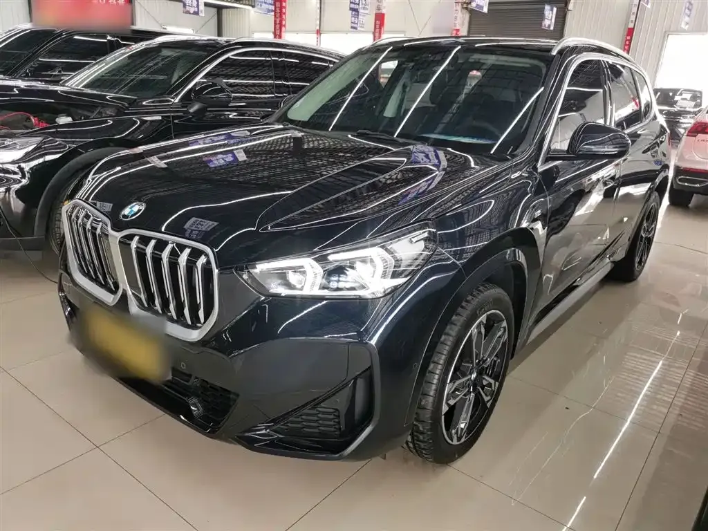 BMW X1 — фото 1